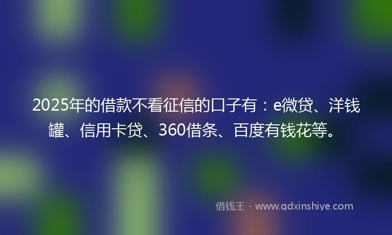 2025年的借款不看征信的口子有：e微贷、洋钱罐、信用卡贷、360借条、百度有钱花等。