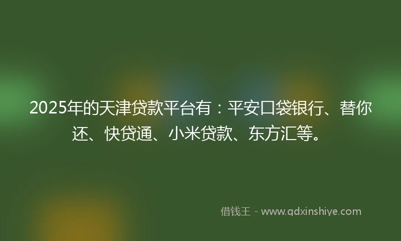 2025年的天津贷款平台有：平安口袋银行、替你还、快贷通、小米贷款、东方汇等。