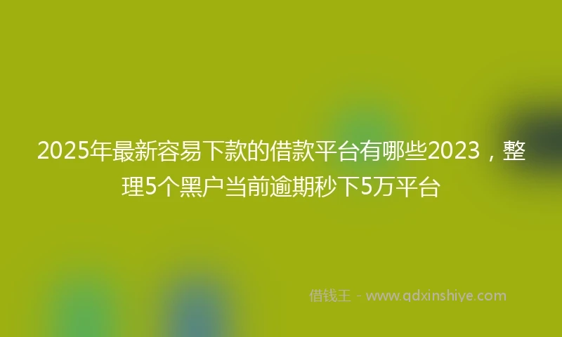 2025年最新容易下款的借款平台有哪些2023，整理5个黑户当前逾期秒下5万平台