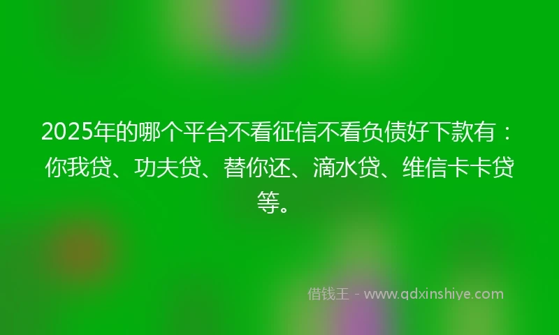 2025年的哪个平台不看征信不看负债好下款有：你我贷、功夫贷、替你还、滴水贷、维信卡卡贷等。