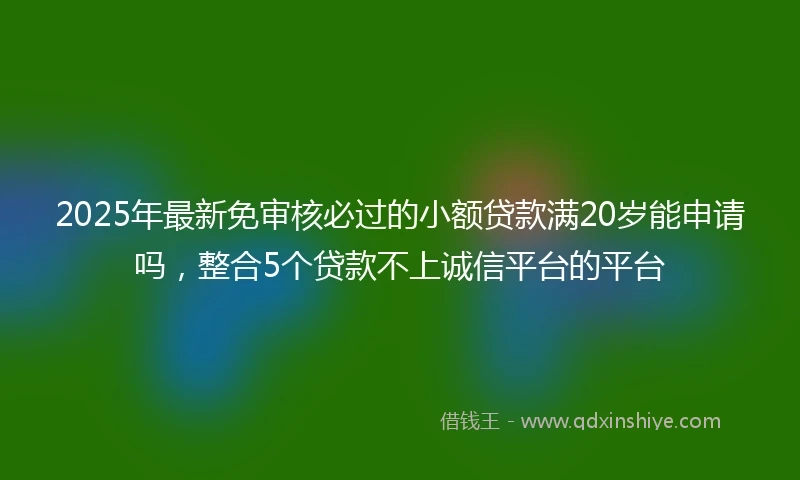 2025年最新免审核必过的小额贷款满20岁能申请吗，整合5个贷款不上诚信平台的平台