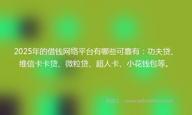 2025年的借钱网络平台有哪些可靠有：功夫贷、维信卡卡贷、微粒贷、超人卡、小花钱包等。