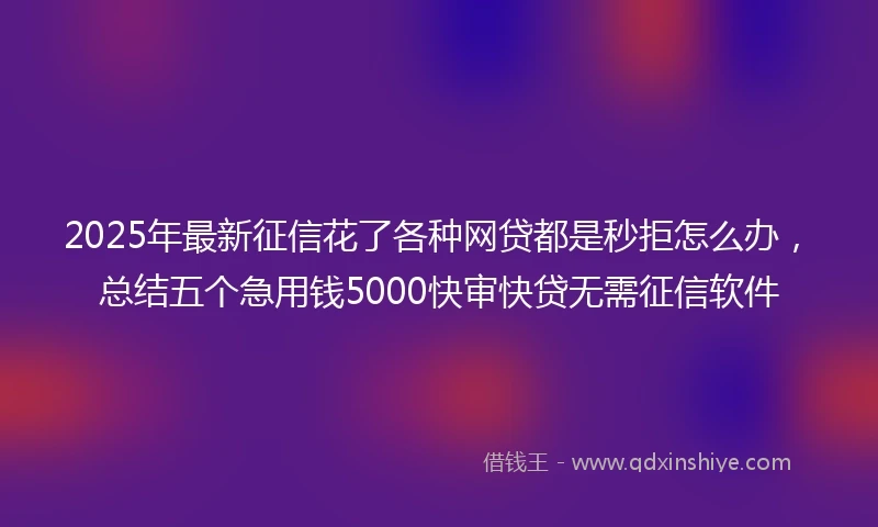 2025年最新征信花了各种网贷都是秒拒怎么办，总结五个急用钱5000快审快贷无需征信软件