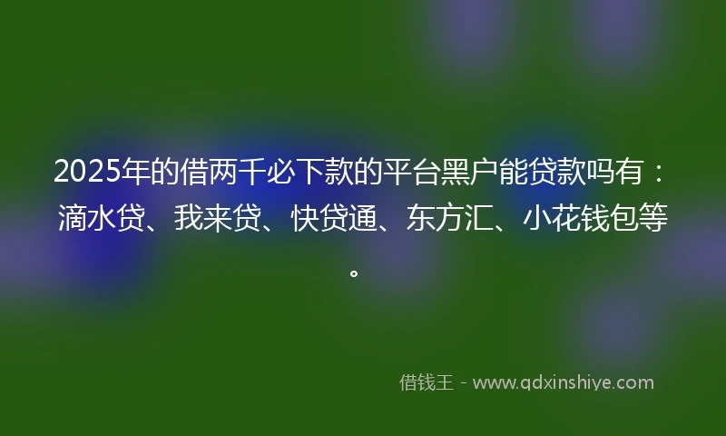 2025年的借两千必下款的平台黑户能贷款吗有：滴水贷、我来贷、快贷通、东方汇、小花钱包等。