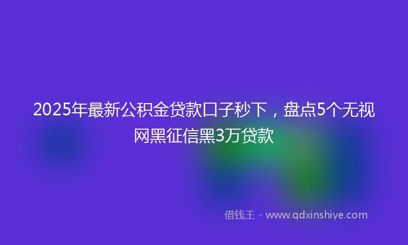 2025年最新公积金贷款口子秒下，盘点5个无视网黑征信黑3万贷款