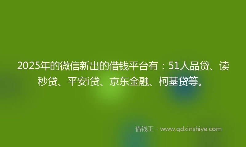 2025年的微信新出的借钱平台有：51人品贷、读秒贷、平安i贷、京东金融、柯基贷等。