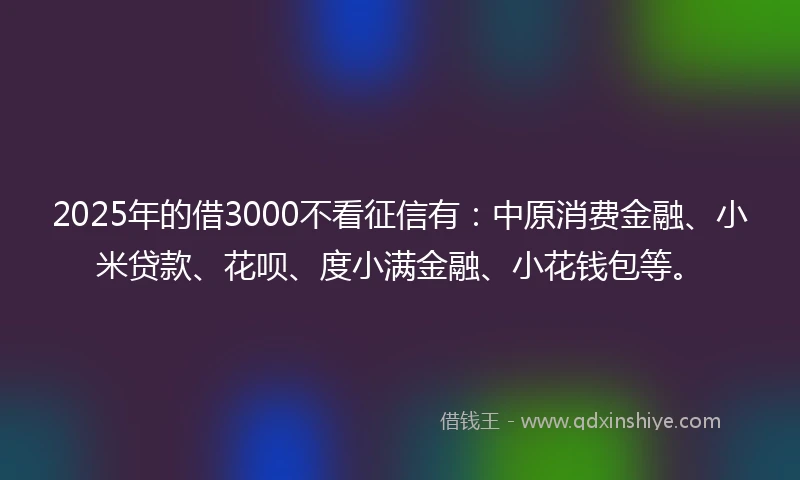 2025年的借3000不看征信有：中原消费金融、小米贷款、花呗、度小满金融、小花钱包等。