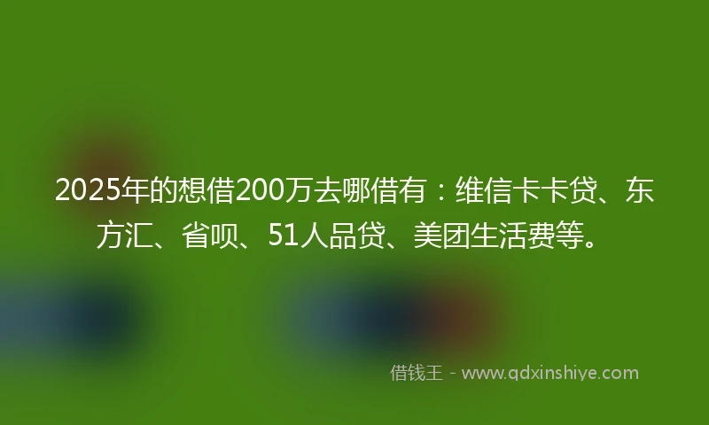 2025年的想借200万去哪借有：维信卡卡贷、东方汇、省呗、51人品贷、美团生活费等。