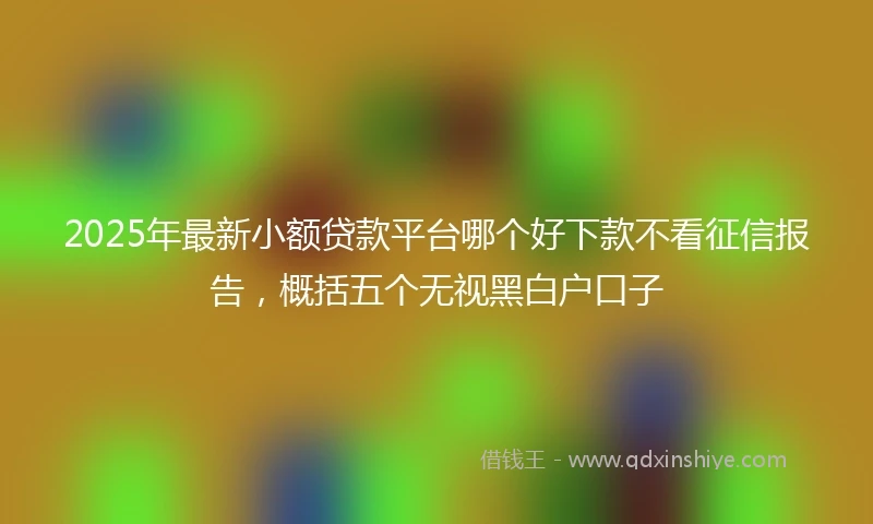 2025年最新小额贷款平台哪个好下款不看征信报告，概括五个无视黑白户口子