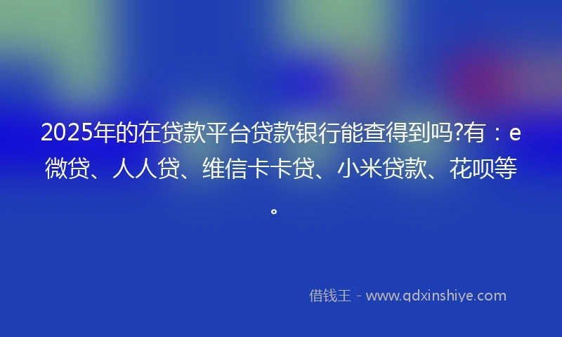 2025年的在贷款平台贷款银行能查得到吗?有：e微贷、人人贷、维信卡卡贷、小米贷款、花呗等。