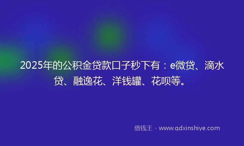 2025年的公积金贷款口子秒下有：e微贷、滴水贷、融逸花、洋钱罐、花呗等。