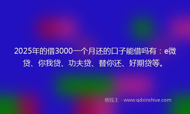 2025年的借3000一个月还的口子能借吗有：e微贷、你我贷、功夫贷、替你还、好期贷等。