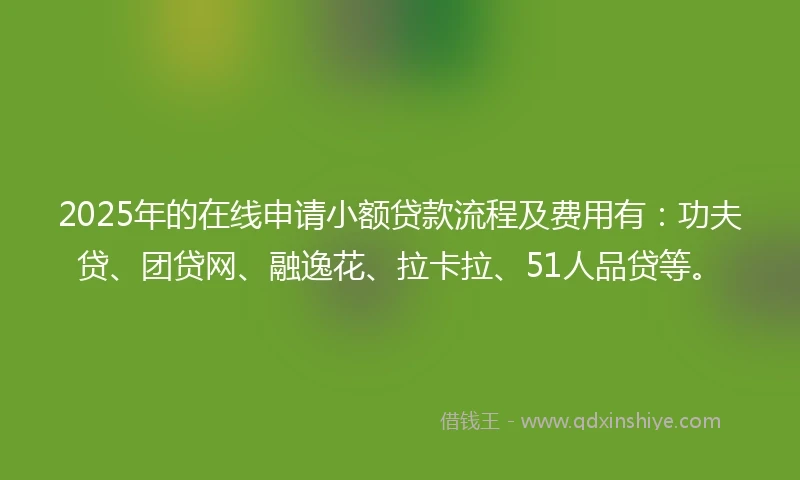 2025年的在线申请小额贷款流程及费用有：功夫贷、团贷网、融逸花、拉卡拉、51人品贷等。