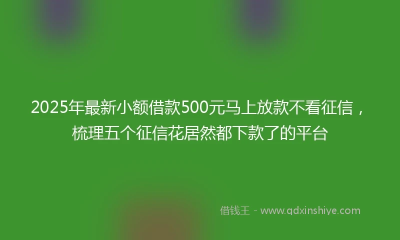 2025年最新小额借款500元马上放款不看征信，梳理五个征信花居然都下款了的平台