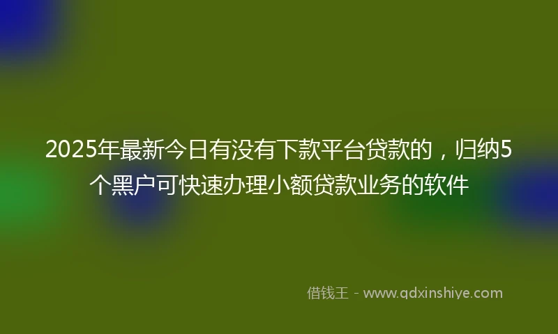 2025年最新今日有没有下款平台贷款的，归纳5个黑户可快速办理小额贷款业务的软件