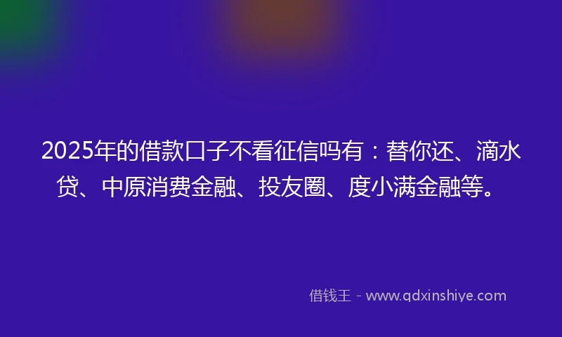 2025年的借款口子不看征信吗有：替你还、滴水贷、中原消费金融、投友圈、度小满金融等。