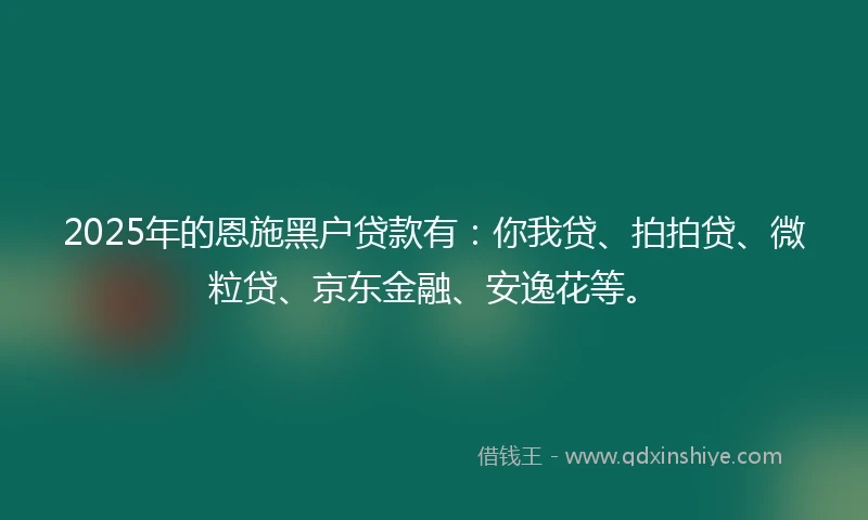 2025年的恩施黑户贷款有：你我贷、拍拍贷、微粒贷、京东金融、安逸花等。