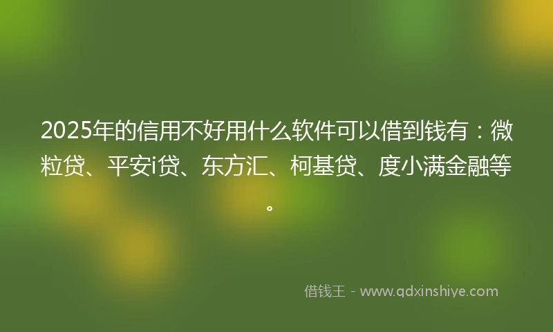 2025年的信用不好用什么软件可以借到钱有：微粒贷、平安i贷、东方汇、柯基贷、度小满金融等。