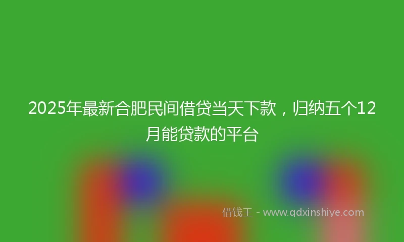 2025年最新合肥民间借贷当天下款，归纳五个12月能贷款的平台