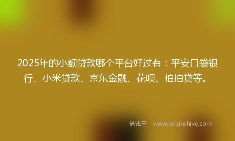 2025年的小额贷款哪个平台好过有：平安口袋银行、小米贷款、京东金融、花呗、拍拍贷等。