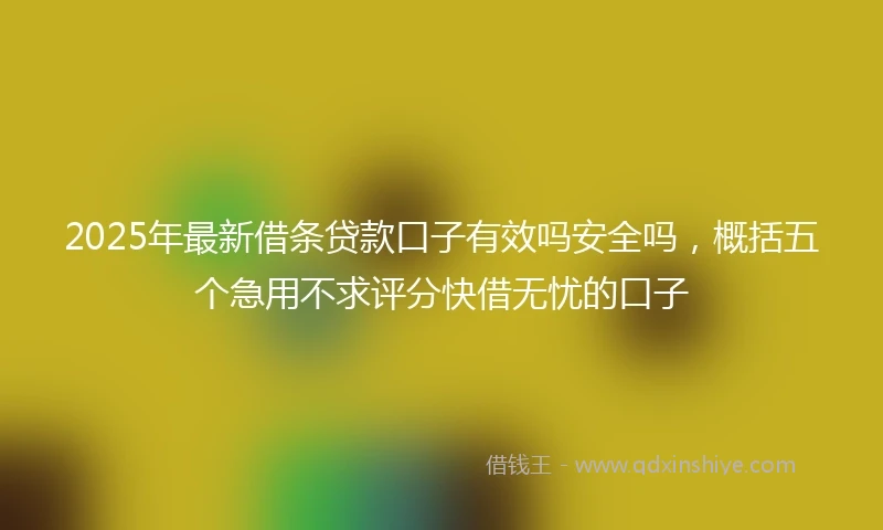 2025年最新借条贷款口子有效吗安全吗，概括五个急用不求评分快借无忧的口子