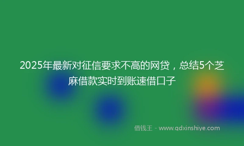 2025年最新对征信要求不高的网贷，总结5个芝麻借款实时到账速借口子