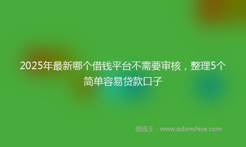 2025年最新哪个借钱平台不需要审核，整理5个简单容易贷款口子