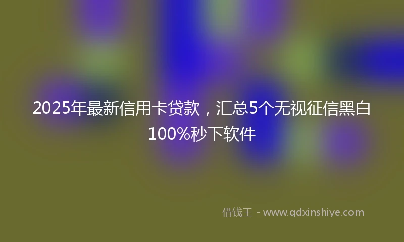 2025年最新信用卡贷款，汇总5个无视征信黑白100%秒下软件