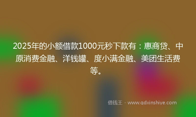 2025年的小额借款1000元秒下款有：惠商贷、中原消费金融、洋钱罐、度小满金融、美团生活费等。