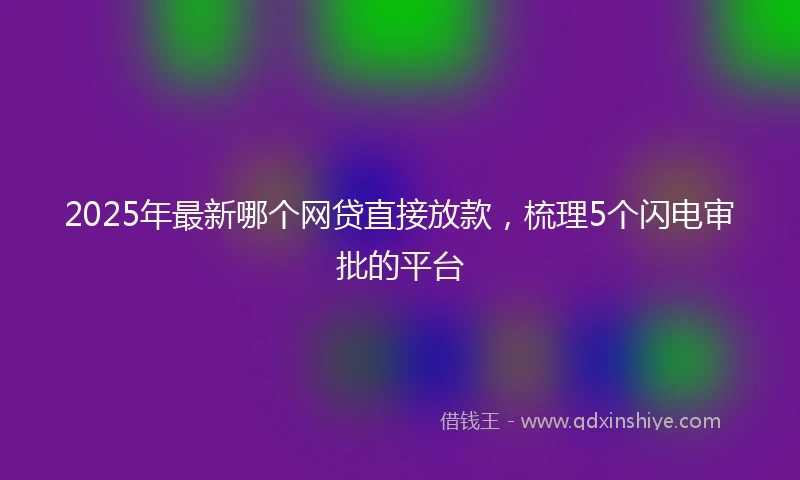 2025年最新哪个网贷直接放款，梳理5个闪电审批的平台
