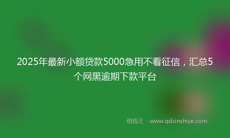 2025年最新小额贷款5000急用不看征信，汇总5个网黑逾期下款平台