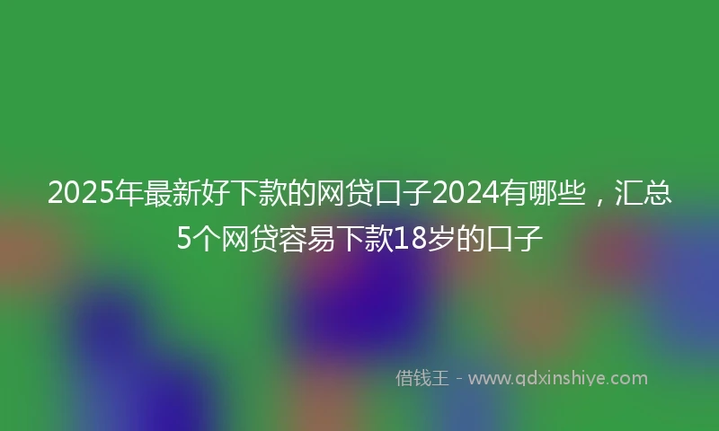 2025年最新好下款的网贷口子2024有哪些，汇总5个网贷容易下款18岁的口子