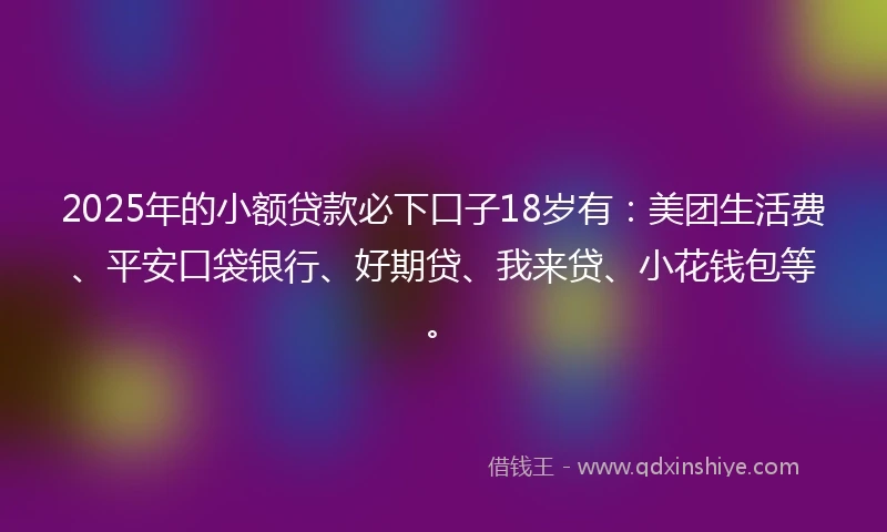 2025年的小额贷款必下口子18岁有：美团生活费、平安口袋银行、好期贷、我来贷、小花钱包等。