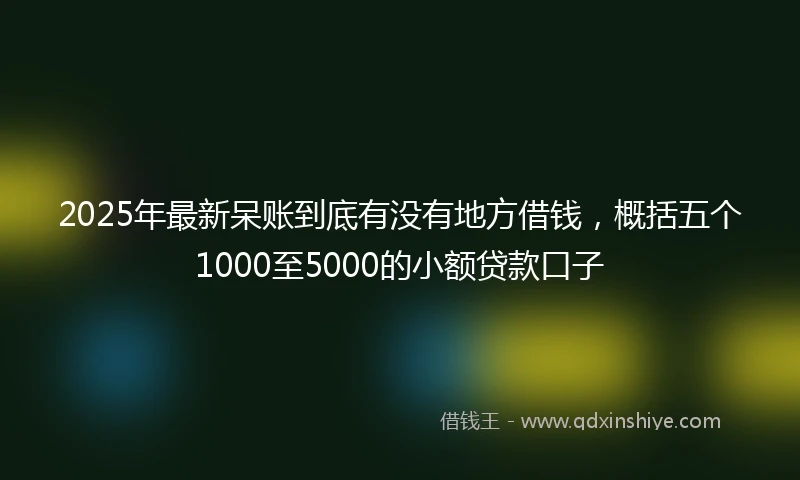 2025年最新呆账到底有没有地方借钱，概括五个1000至5000的小额贷款口子