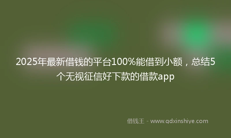 2025年最新借钱的平台100%能借到小额，总结5个无视征信好下款的借款app