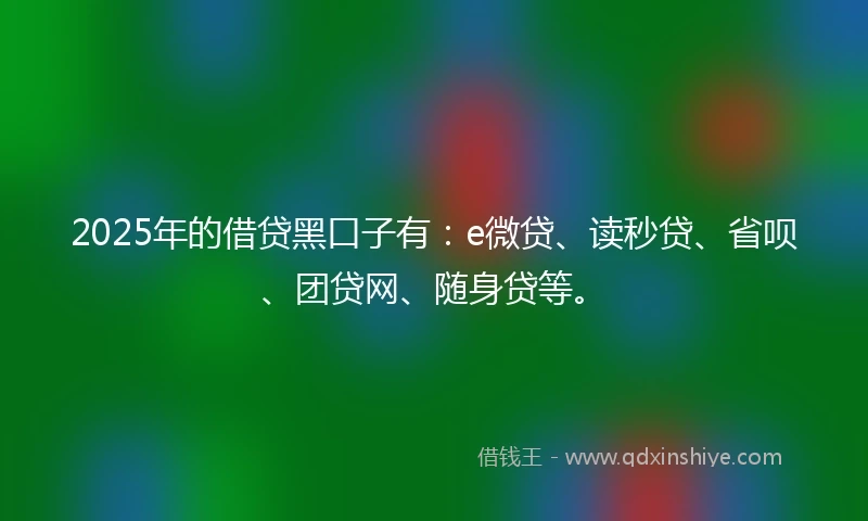 2025年的借贷黑口子有：e微贷、读秒贷、省呗、团贷网、随身贷等。
