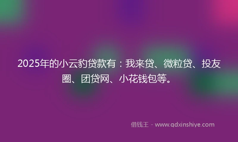 2025年的小云豹贷款有：我来贷、微粒贷、投友圈、团贷网、小花钱包等。