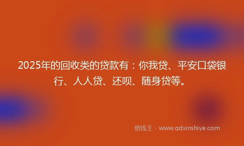 2025年的回收类的贷款有：你我贷、平安口袋银行、人人贷、还呗、随身贷等。