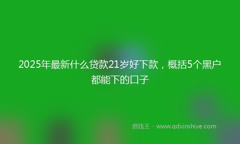2025年最新什么贷款21岁好下款，概括5个黑户都能下的口子