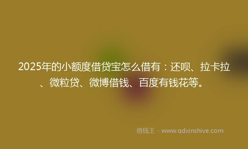 2025年的小额度借贷宝怎么借有：还呗、拉卡拉、微粒贷、微博借钱、百度有钱花等。