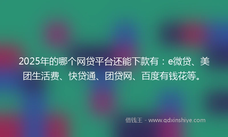2025年的哪个网贷平台还能下款有：e微贷、美团生活费、快贷通、团贷网、百度有钱花等。