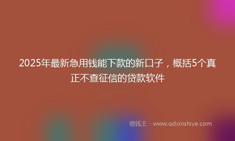 2025年最新急用钱能下款的新口子，概括5个真正不查征信的贷款软件