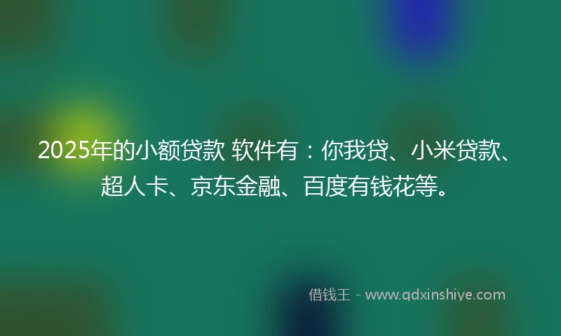 2025年的小额贷款 软件有：你我贷、小米贷款、超人卡、京东金融、百度有钱花等。