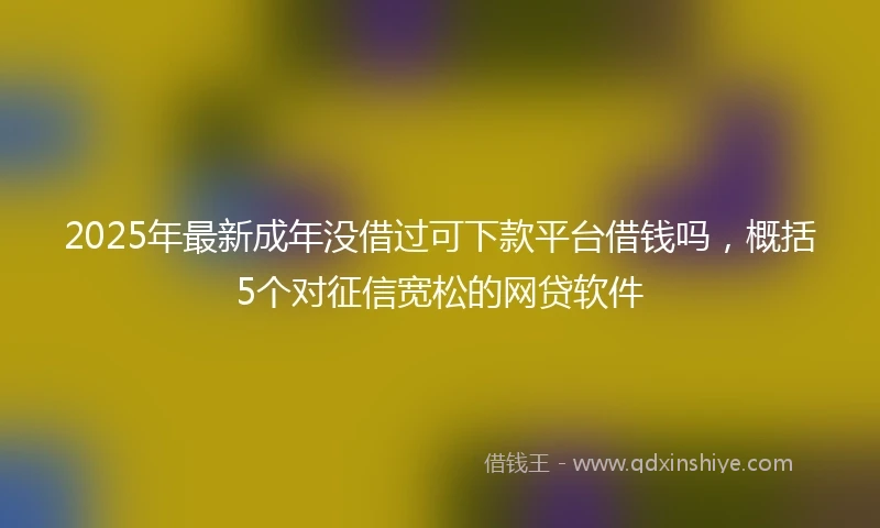 2025年最新成年没借过可下款平台借钱吗，概括5个对征信宽松的网贷软件
