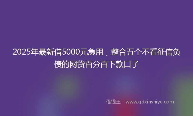 2025年最新借5000元急用，整合五个不看征信负债的网贷百分百下款口子