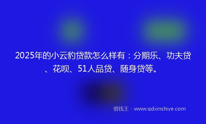 2025年的小云豹贷款怎么样有：分期乐、功夫贷、花呗、51人品贷、随身贷等。