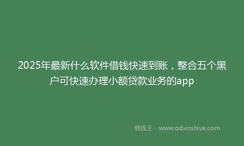 2025年最新什么软件借钱快速到账，整合五个黑户可快速办理小额贷款业务的app