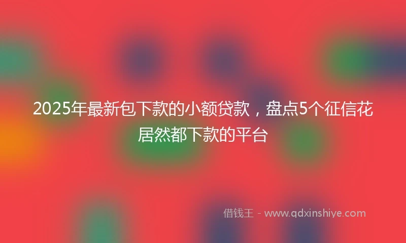 2025年最新包下款的小额贷款，盘点5个征信花居然都下款的平台