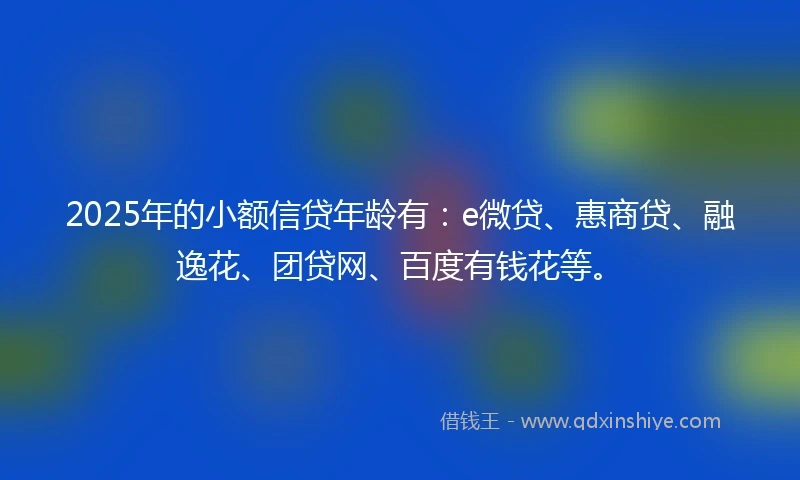 2025年的小额信贷年龄有：e微贷、惠商贷、融逸花、团贷网、百度有钱花等。