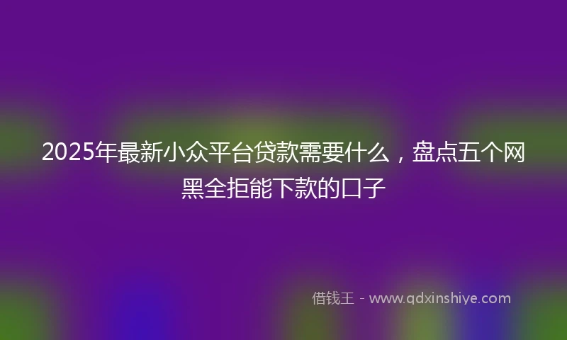2025年最新小众平台贷款需要什么，盘点五个网黑全拒能下款的口子